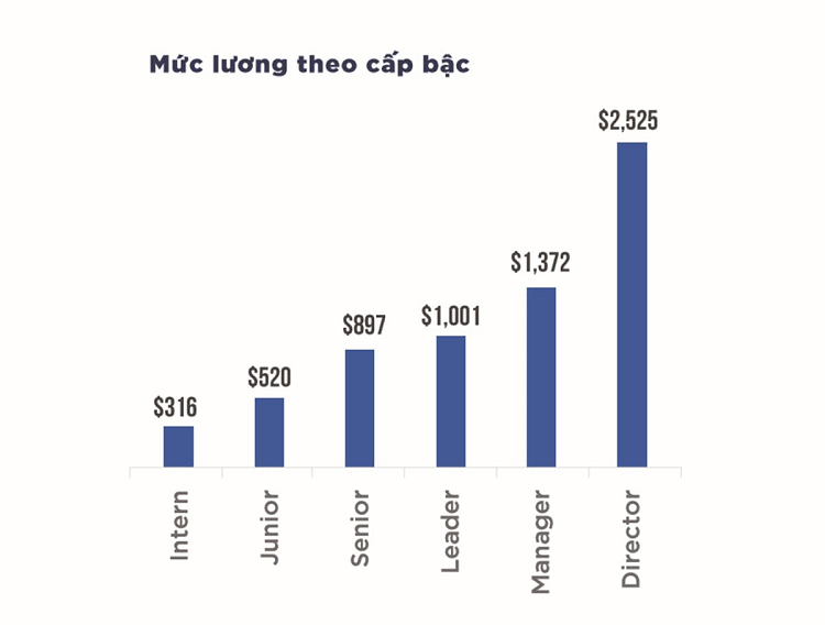 Mức lương của lập trình viên dựa theo cấp bậc